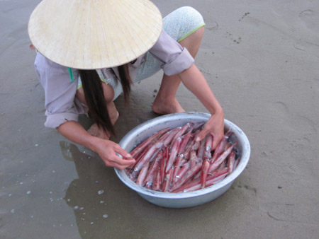 Bãi biển sầm sơn